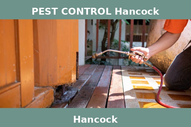 PEST CONTROL Hancock